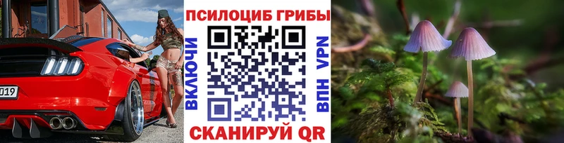 Галлюциногенные грибы прущие грибы  Купить закладки  Видное 